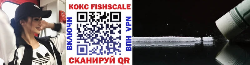 Купить закладки  Павловск  COCAIN VHQ 