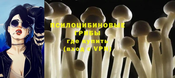 кокс Кулебаки
